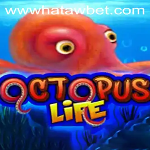 Exploring the Dynamic World of OctopusLife and Its Connection to Hatawbet